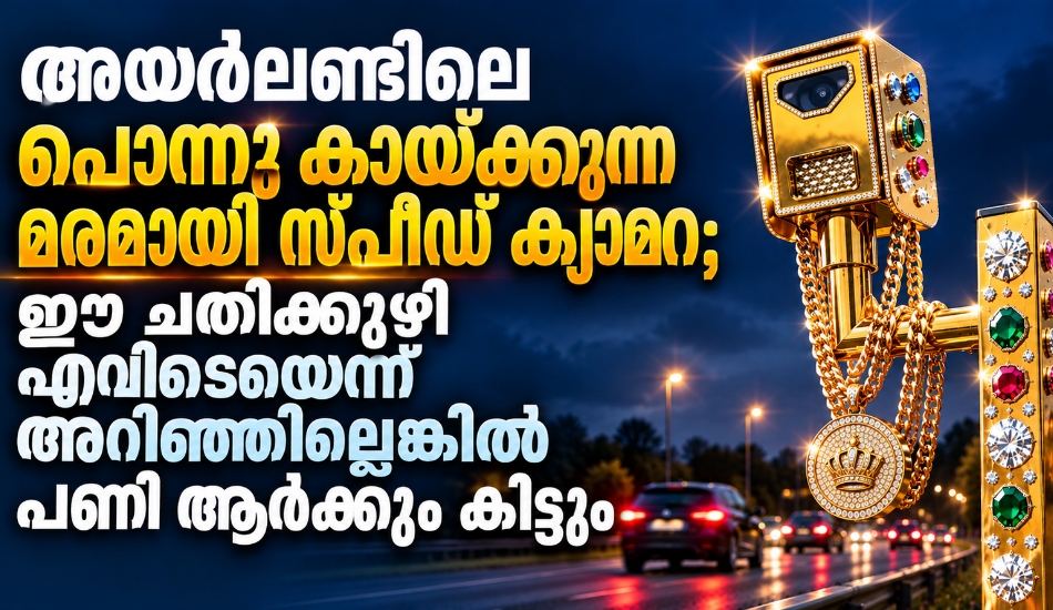 അയർലണ്ടിലെ പൊന്നു കായ്ക്കുന്ന മരമായി സ്പീഡ് ക്യാമറ; ഈ ചതിക്കുഴി എവിടെയെന്ന് അറിഞ്ഞില്ലെങ്കിൽ  ആർക്കും പണി കിട്ടും; ഒരു വർഷത്തിൽ ഫൈൻ പിരിഞ്ഞത് 5 മില്യൻ യൂറോ